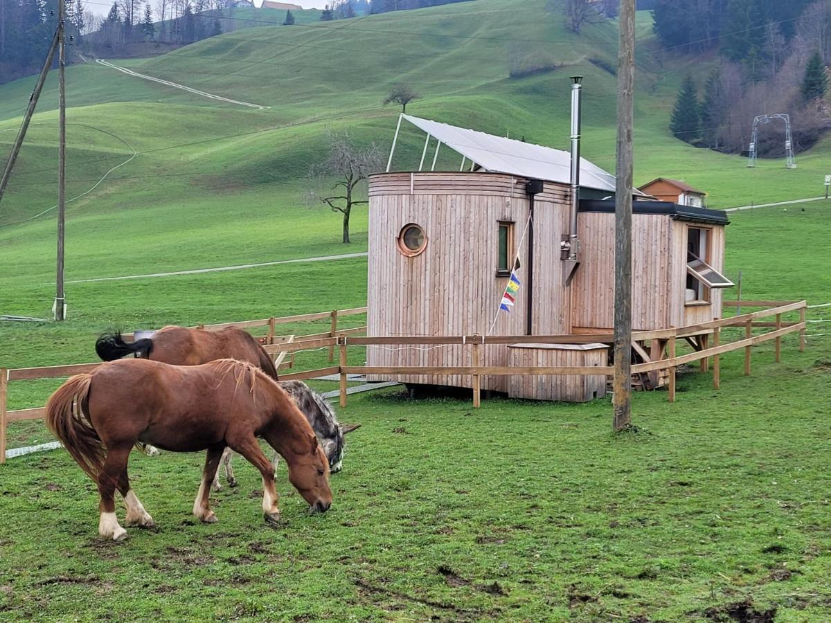 Beaver Creek Ranch Rothenthurm Extérieur photo